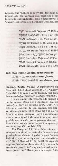 DICIONARIO INTERNACIONAL DO ANTIGO TESTAMENTO