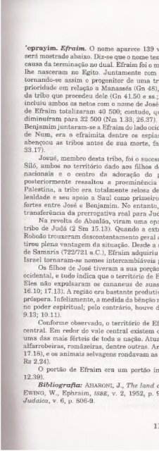 DICIONARIO INTERNACIONAL DO ANTIGO TESTAMENTO