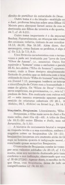 DICIONARIO INTERNACIONAL DO ANTIGO TESTAMENTO