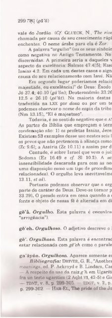 DICIONARIO INTERNACIONAL DO ANTIGO TESTAMENTO