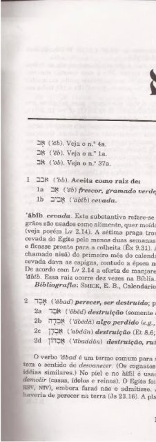 DICIONARIO INTERNACIONAL DO ANTIGO TESTAMENTO