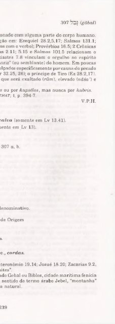 DICIONARIO INTERNACIONAL DO ANTIGO TESTAMENTO