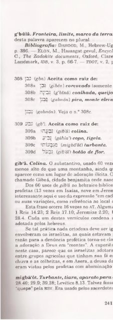 DICIONARIO INTERNACIONAL DO ANTIGO TESTAMENTO