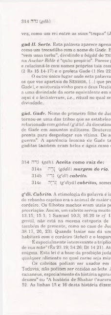 DICIONARIO INTERNACIONAL DO ANTIGO TESTAMENTO