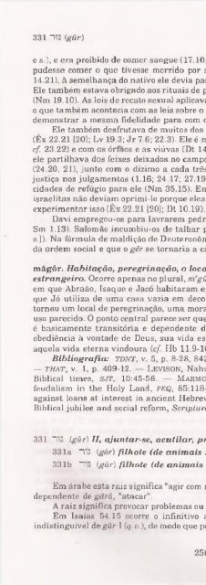 DICIONARIO INTERNACIONAL DO ANTIGO TESTAMENTO