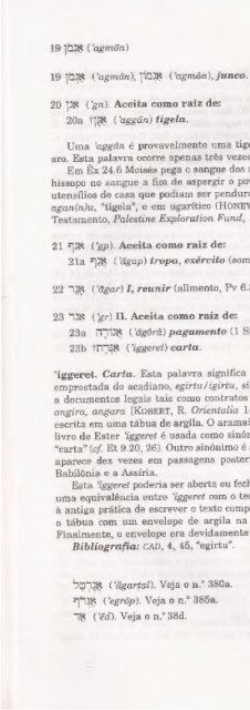 DICIONARIO INTERNACIONAL DO ANTIGO TESTAMENTO