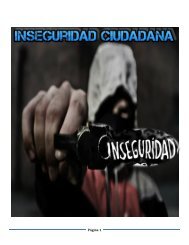 Inseguridad Ciudadana