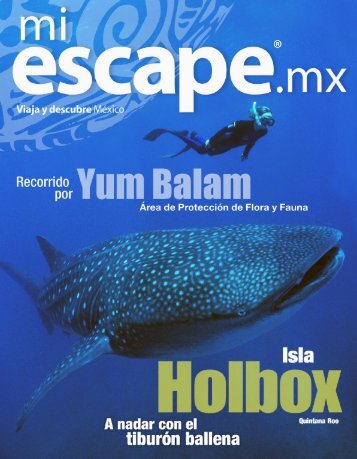 1ra Edición miescape.mx