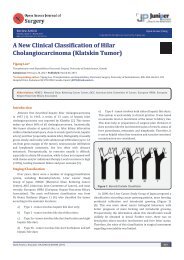 A New Clinical Classification of Hilar Cholangiocarcinoma (Klatskin Tumor)