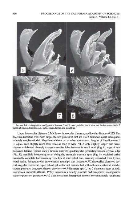 (Proceedings submission caseby-case