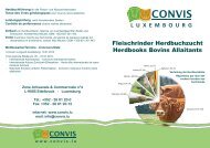 Fleischrinder Herdbuchzucht Herdbooks Bovins Allaitants