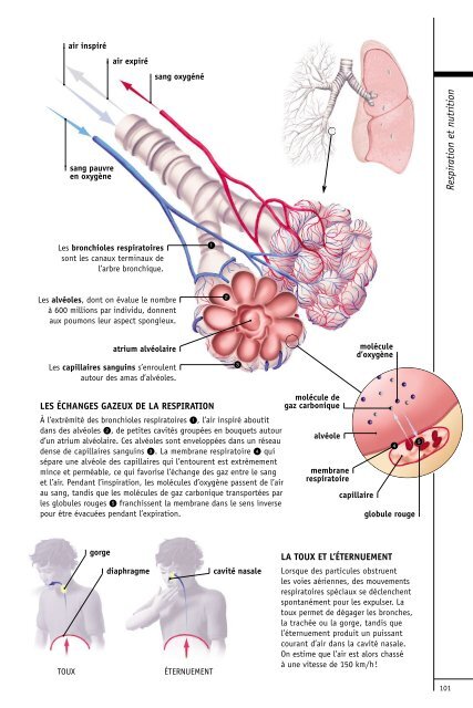 comprendre-notre-organisme-et-son-fonctionnement-par-[-www.heights-book.blogspot.com-]