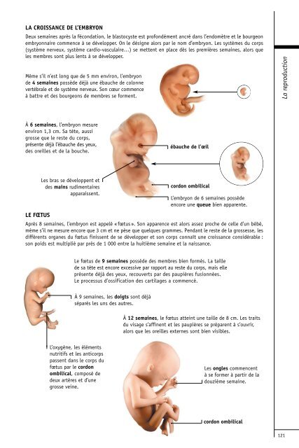 comprendre-notre-organisme-et-son-fonctionnement-par-[-www.heights-book.blogspot.com-]