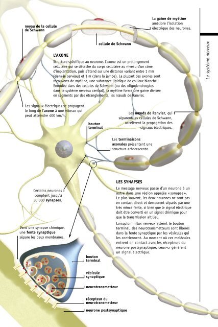 comprendre-notre-organisme-et-son-fonctionnement-par-[-www.heights-book.blogspot.com-]