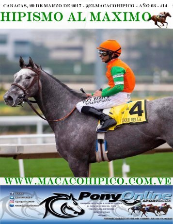 HIPISMO AL MAXIM