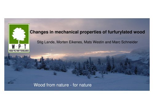 Changes in mechanical properties of furfurylated wood