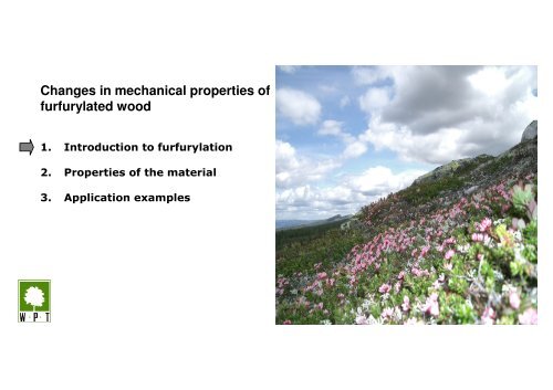 Changes in mechanical properties of furfurylated wood