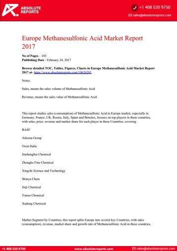 10626283-Europe-Methanesulfonic-Acid-Market-Report-2017