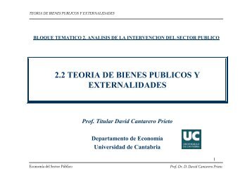 teoria de los bienes publicos y externalidades.