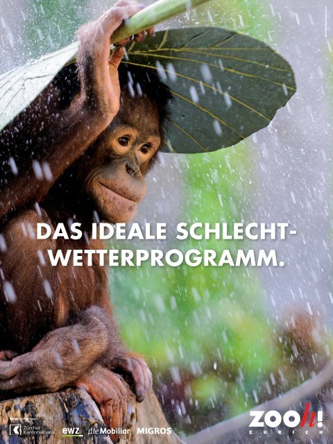 Zoo Zürich Jahresbericht 2016