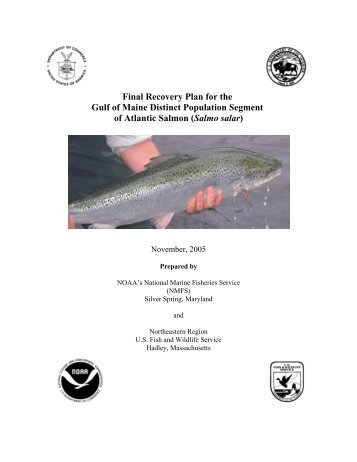 Recovery Plan for the Gulf of Maine Distinct Population Segment of ...