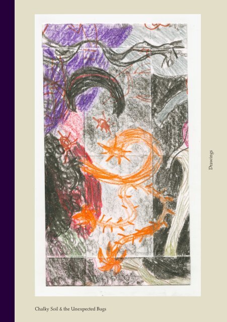 CHALKY SOIL & the UNEXPECTED BUGS – Drawings