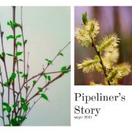 Pipeliner_39_s_Story_March