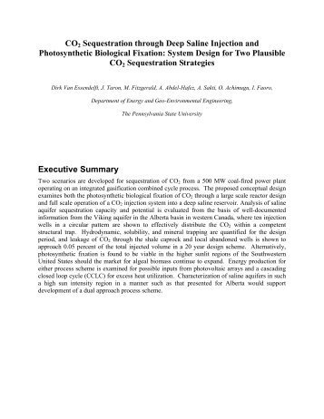 CO2 Sequestration through Deep Saline Injection and ...