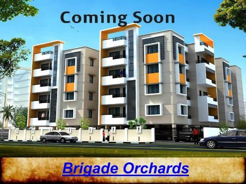 Brigade Orchards