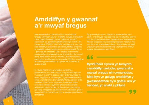 Maniffesto Llywodraeth Leol 2017 Local Government