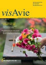 visAvie_1-2017_END