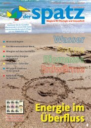 der Spatz 2/2012 als PDF