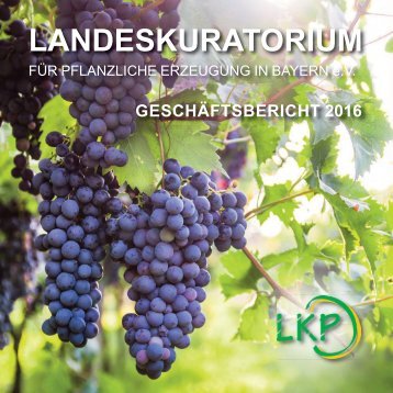 LKP Geschäftsbericht 2016