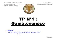 TP1-BA-GAMETOGENESE (1)