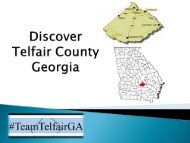 Welcome to Telfair County, Georgia revised March 31 2017