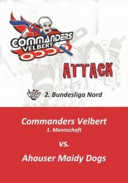 Commanders Attack 01/2017
