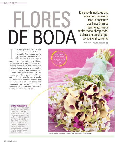 Bodas y Sueños - Primera Edicion