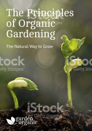 Garden Organic Booklet - Final Draft 01