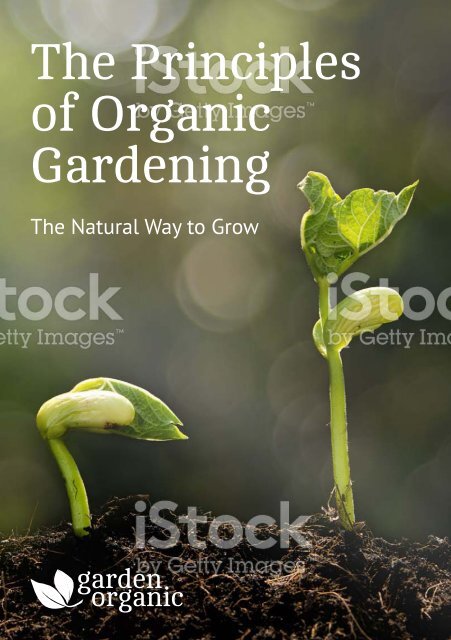 Garden Organic Booklet - Final Draft 01