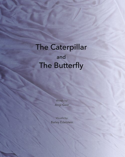 The Caterpillar and The Butterfly