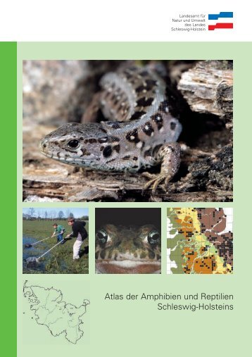 Atlas der Amphibien und Reptilien Schleswig-Holsteins