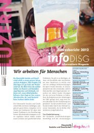 InfoDISG 01/2013