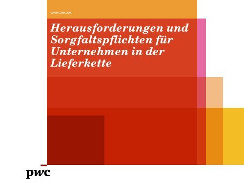 Herausforderungen und Sorgfaltspflichten für - Deutsche ...