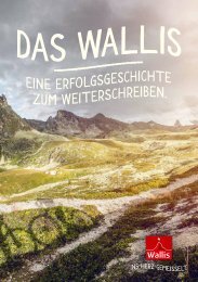 Broschüre der Marke Wallis