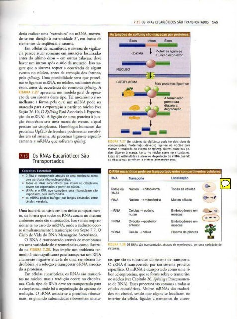 Genes IX Benjamin Lewin - PortuguesBR