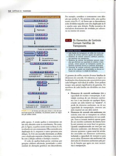 Genes IX Benjamin Lewin - PortuguesBR