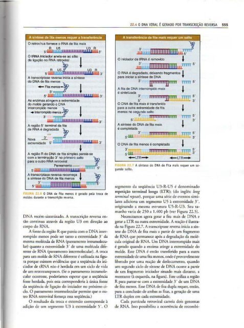 Genes IX Benjamin Lewin - PortuguesBR