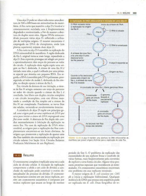 Genes IX Benjamin Lewin - PortuguesBR