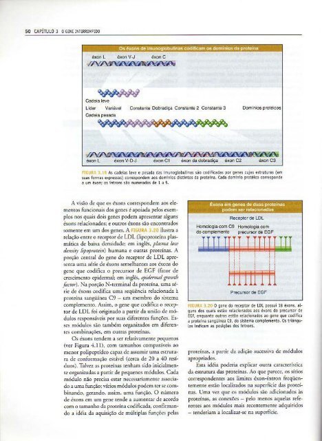 Genes IX Benjamin Lewin - PortuguesBR