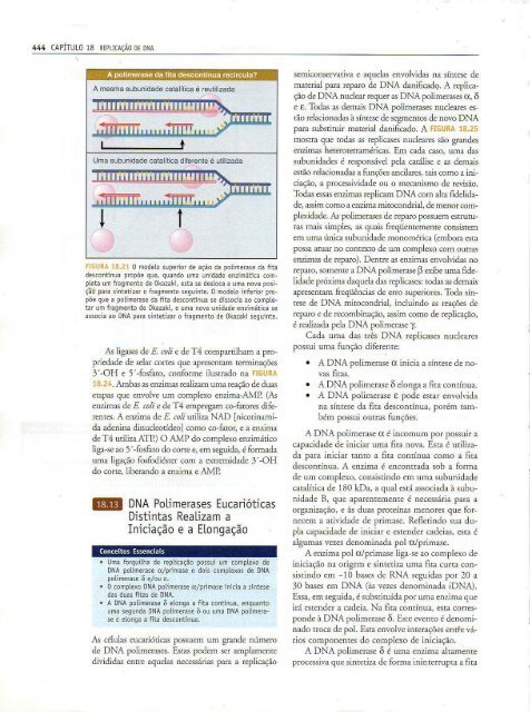 Genes IX Benjamin Lewin - PortuguesBR